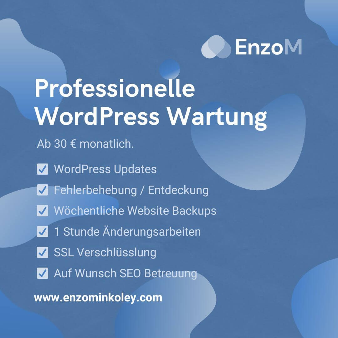 Professionelle WordPress Wartung